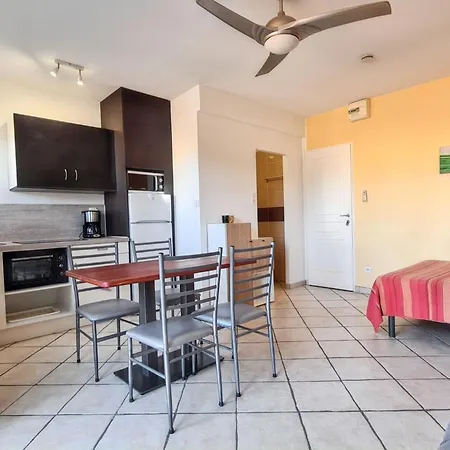 A Avec Barbecue - 22 M² 아파트 *